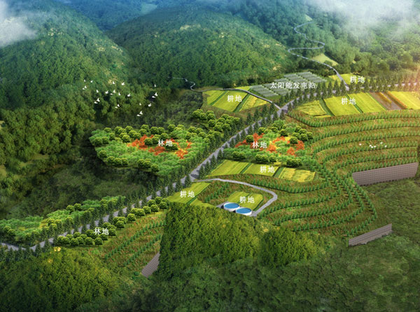 栾川白庙沟钼矿小南沟排土场地质环境治理与土地复垦工程